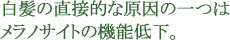 白髪の直接的な原因の一つはメラノサイトの機能低下。