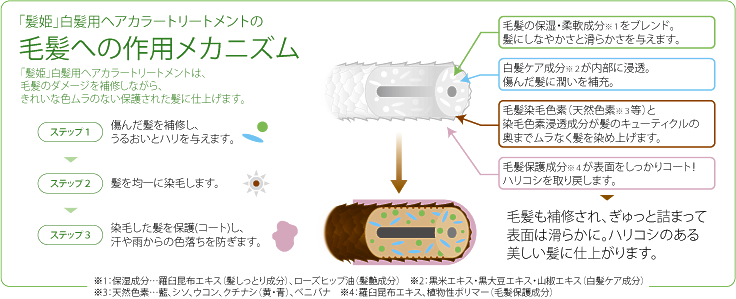 毛髪への作用メカニズム