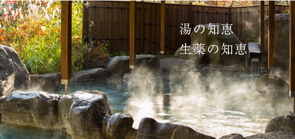 湯の知恵 生薬の知恵