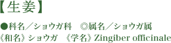 生姜