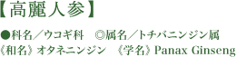 高麗人参
