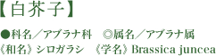 ミロバラン果実 ※1