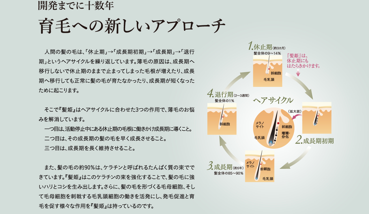 開発までに十数年　育毛への新しいアプローチ