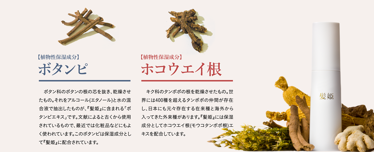 シボタンピ・ホコウエイ根