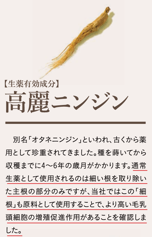 高麗ニンジン