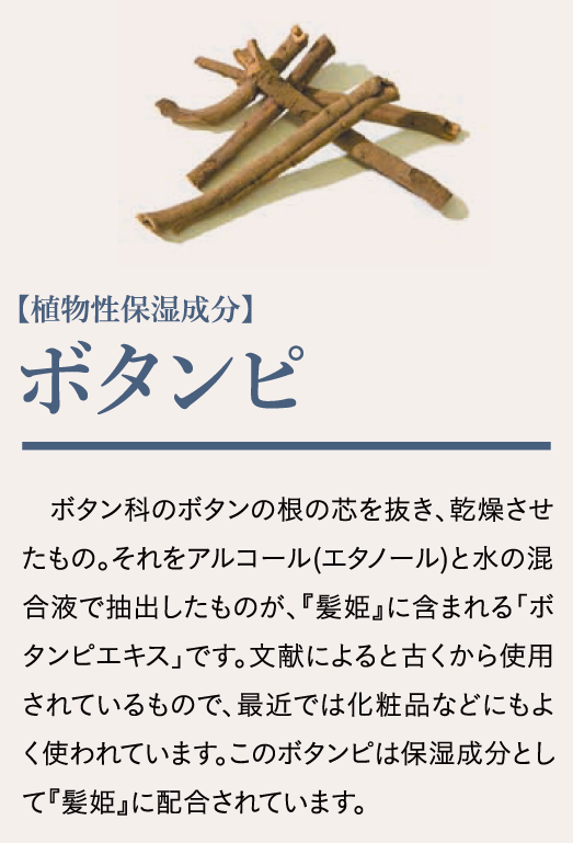ボタンピ