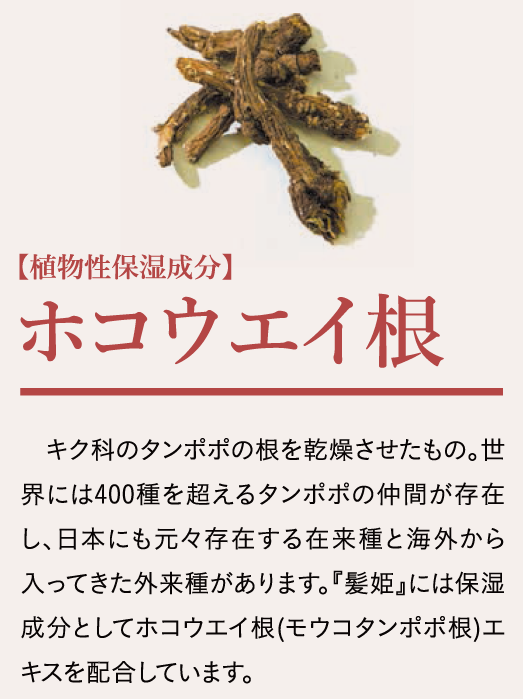 ホウコウエイ根