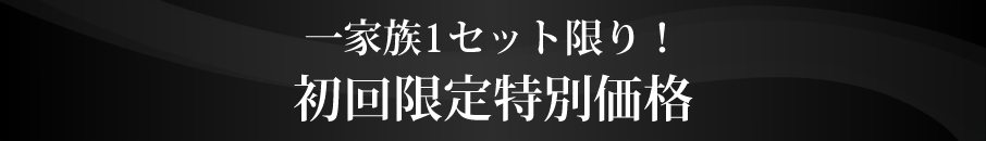 初回限定特別価格